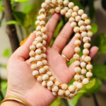 Tulsi Mala (Kanthi Mala)