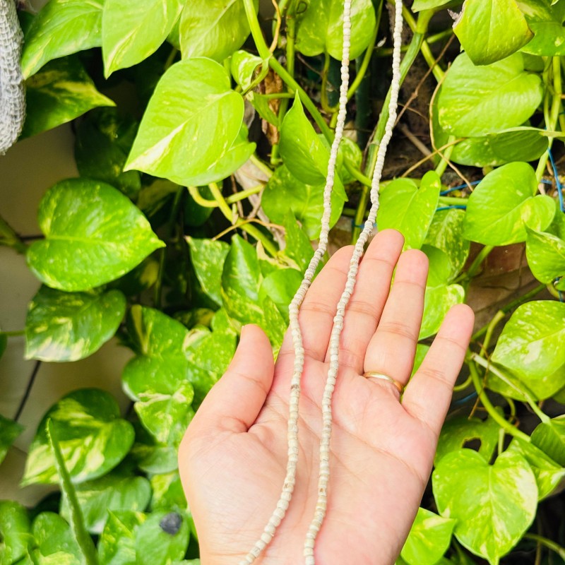 Tulsi Mala (Kanthi Mala)