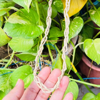 Tulsi Mala (Kanthi Mala)