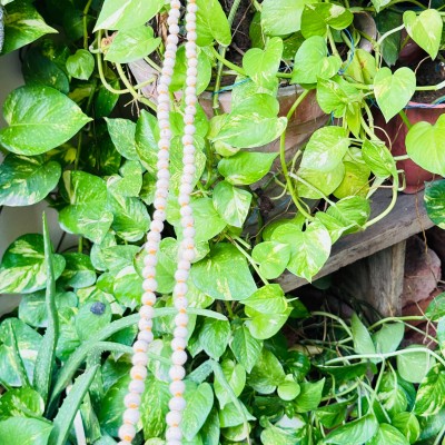 Tulsi Mala (Kanthi Mala)