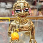 7no size laddu gopal