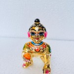 Laddu Gopal  7no.