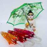 Umbrella (Net Fancy Umbrella)