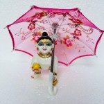 Umbrella (Net Fancy Umbrella)