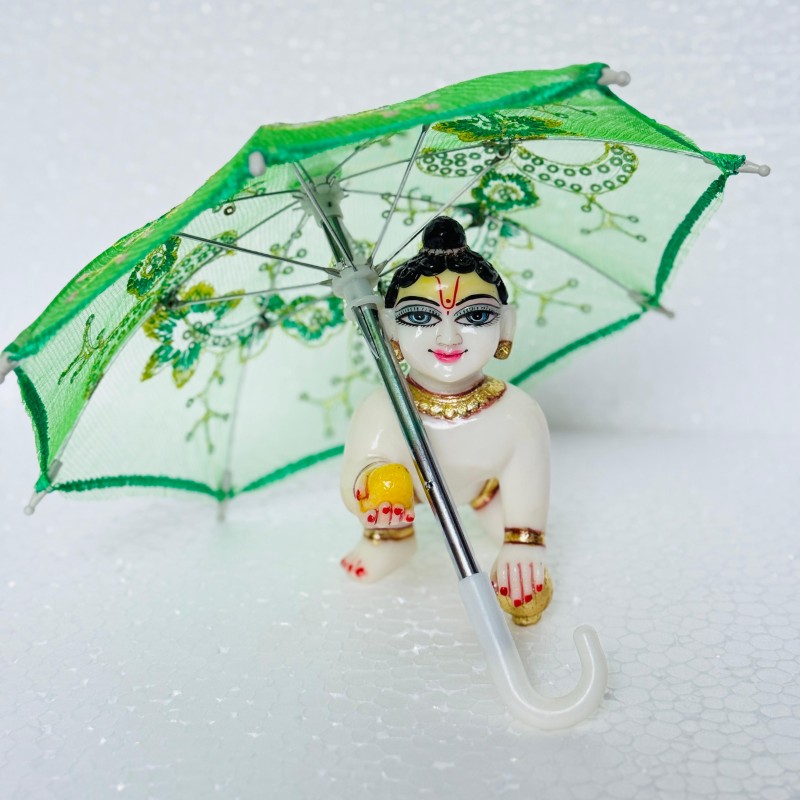 Umbrella (Net Fancy Umbrella)