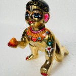 Laddu Gopal 6no.